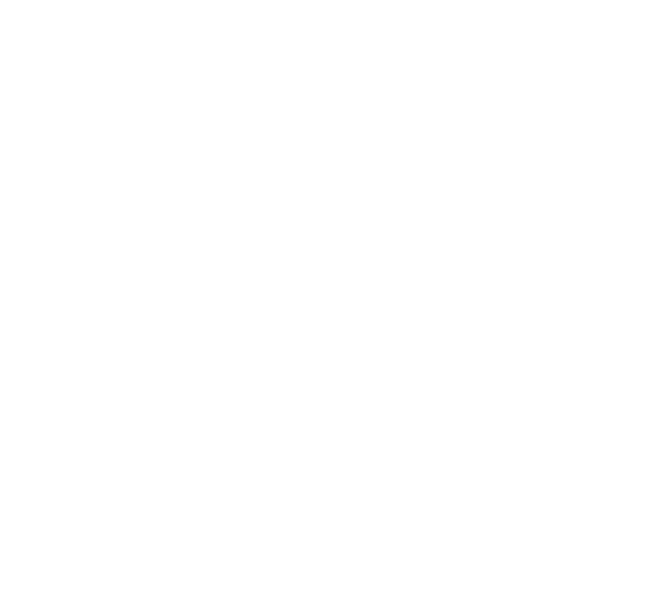 Baseerah Institute